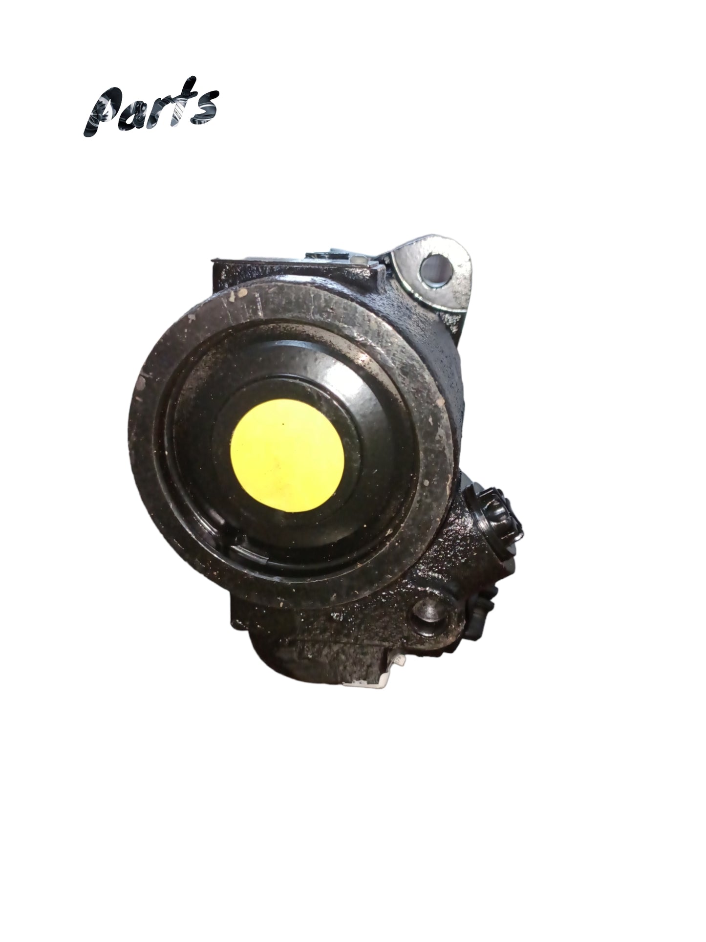 VANE PUMP 7674955001 OEM NO 504346600101